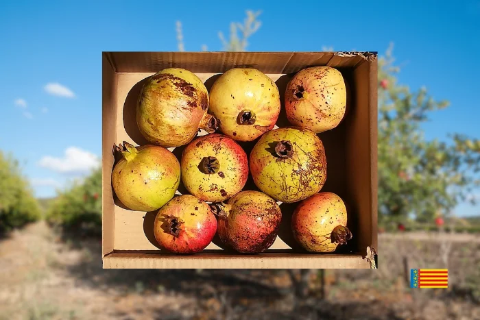 GRANADA ECOLÓGICA. 2,5 KG. (5-7 unidades) image