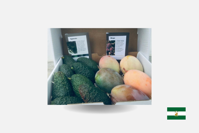 CAJA AGUACATE HASS+MANGO KEITT BIO 4,5KG image