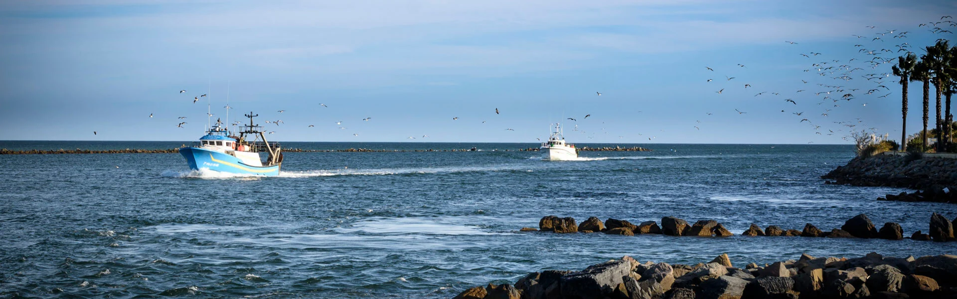 barcos-punta-del-moral.webp